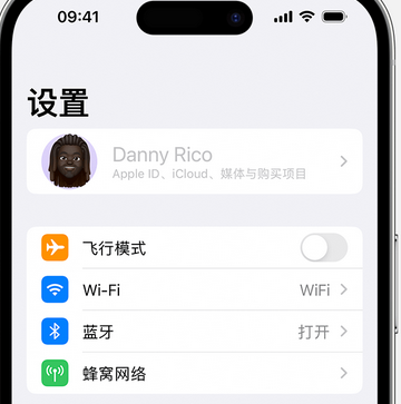 天长appleID维修服务iPhone设置中Apple ID显示为灰色无法使用 