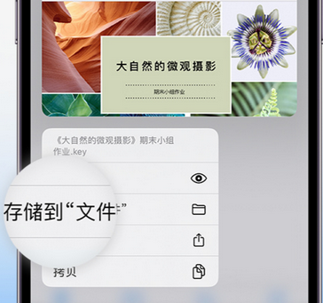 天长apple维修中心分享iPhone文件应用中存储和找到下载文件