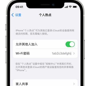 天长apple服务站点分享iPhone上个人热点丢失了怎么办 