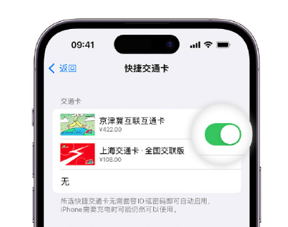 天长apple维修点分享iPhone上更换Apple Pay快捷交通卡手绘卡面 