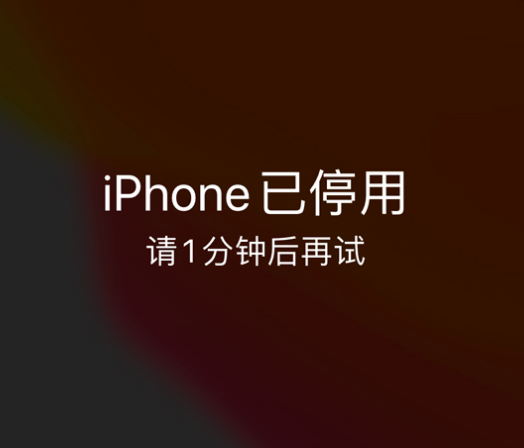 天长苹果手机维修分享:iPhone 显示“不可用”或“已停用”怎么办？还能保留数据吗？ 