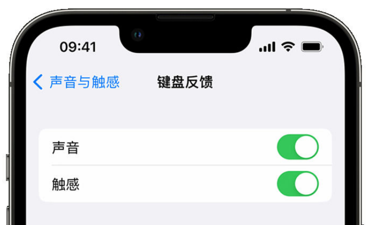 天长苹果手机维修分享iPhone 14触感键盘使用方法 