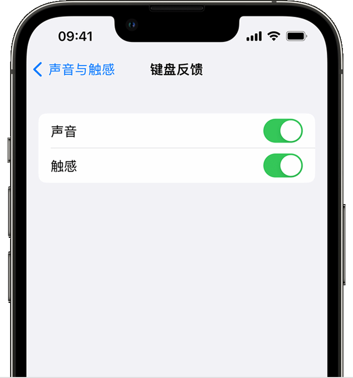 天长苹果14维修店分享如何在 iPhone 14 机型中使用触感键盘 