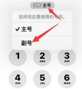 天长苹果14维修店分享iPhone 14 Pro Max使用副卡打电话的方法 