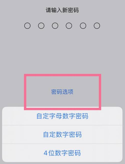 天长苹果14维修分享iPhone 14plus设置密码的方法 