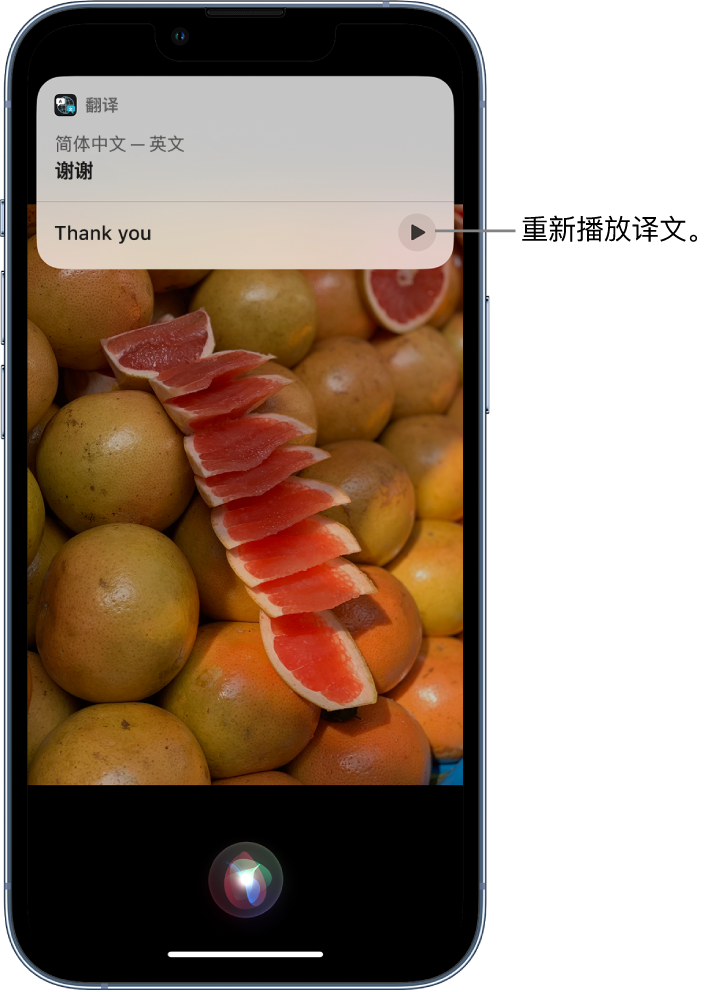 天长苹果14维修分享 iPhone 14 机型中使用 Siri：了解 Siri 能帮你做什么 