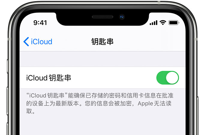 天长苹果手机维修分享在 iPhone 上开启 iCloud 钥匙串之后会储存哪些信息 