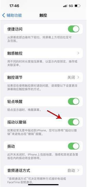 天长苹果手机维修分享iPhone手机如何设置摇一摇删除文字 